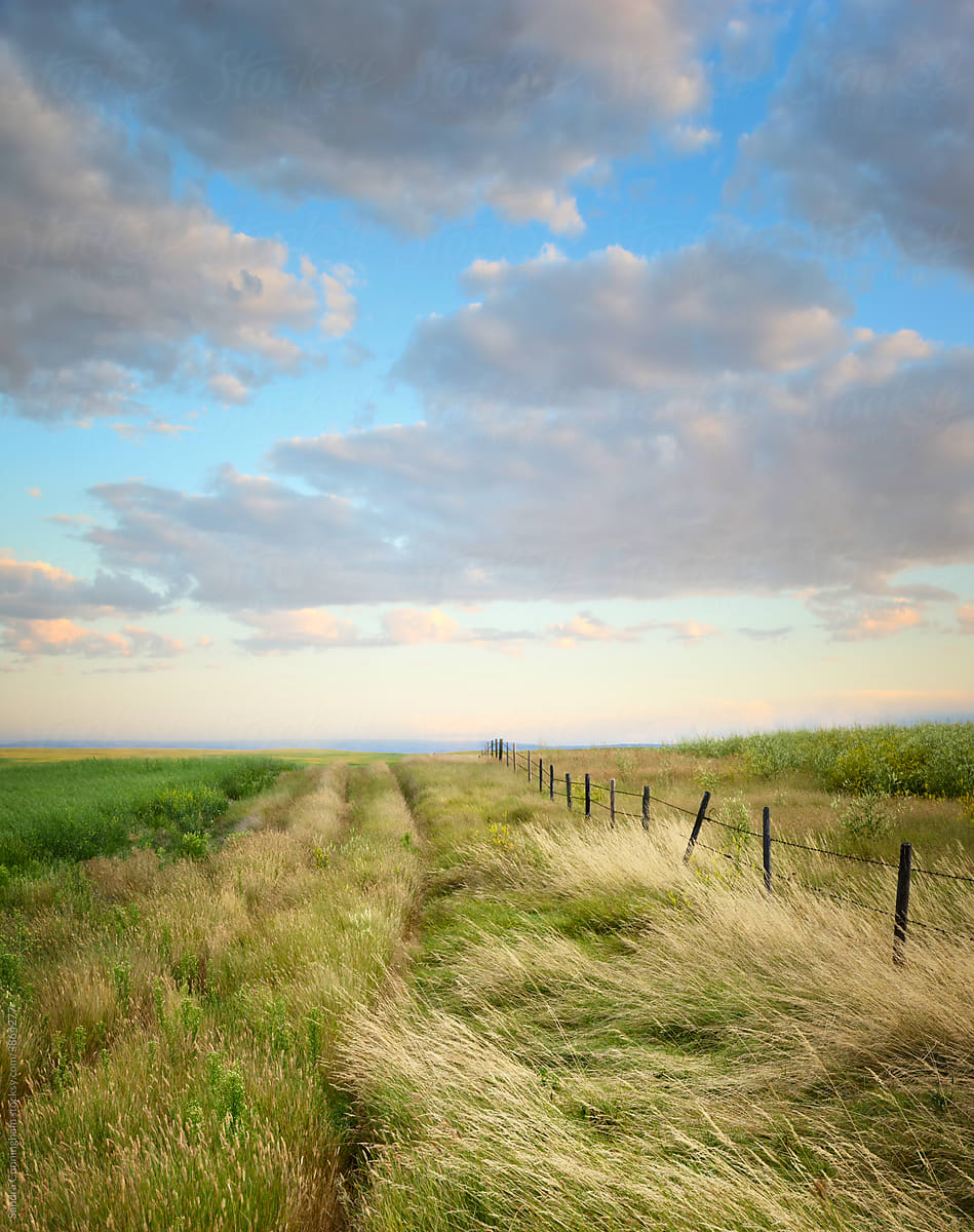 Treaty Agricultural Benefits Settlements (“Cows and Plows”) and its Impact on Family Law in Saskatchewan
